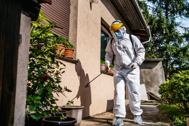 Best Rat Extermination Near Me  in Grandview, IL