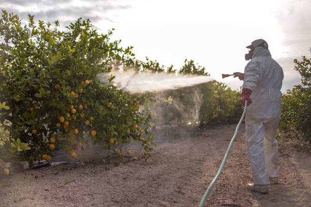 Best Pest Removal Services  in Grandview, IL