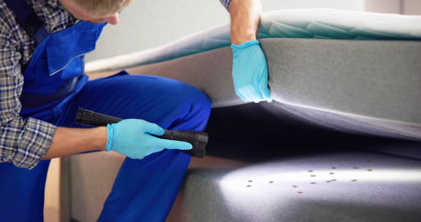 Best Commercial Pest Control Services  in Grandview, IL
