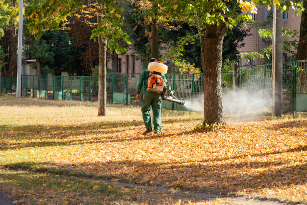 Best Spider Control Near Me  in Grandview, IL