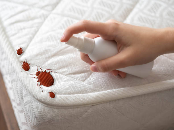 Best Local Pest Control Services  in Grandview, IL