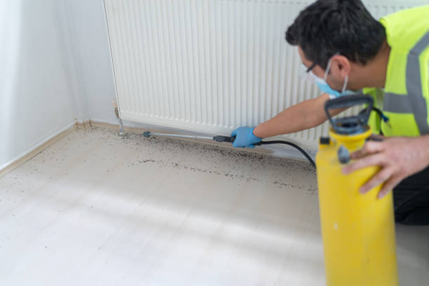 Best Flea Control Services  in Grandview, IL